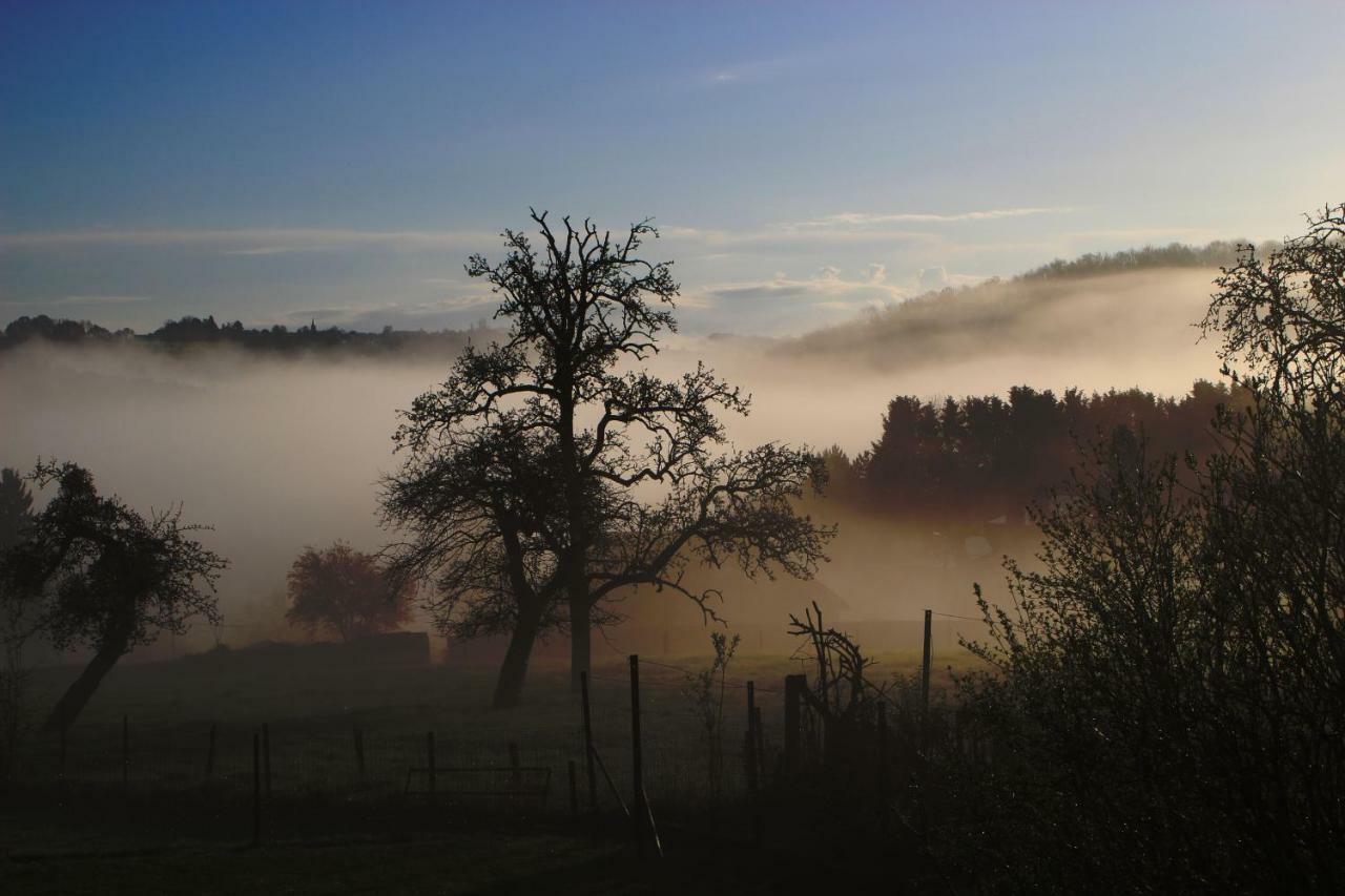 Gite Du Bac Comblain-au-Pont Exteriér fotografie